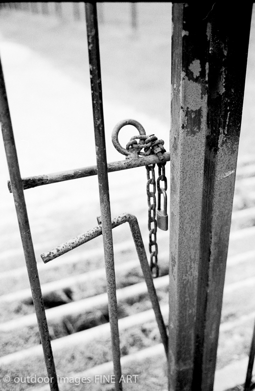 the gate lock and chains